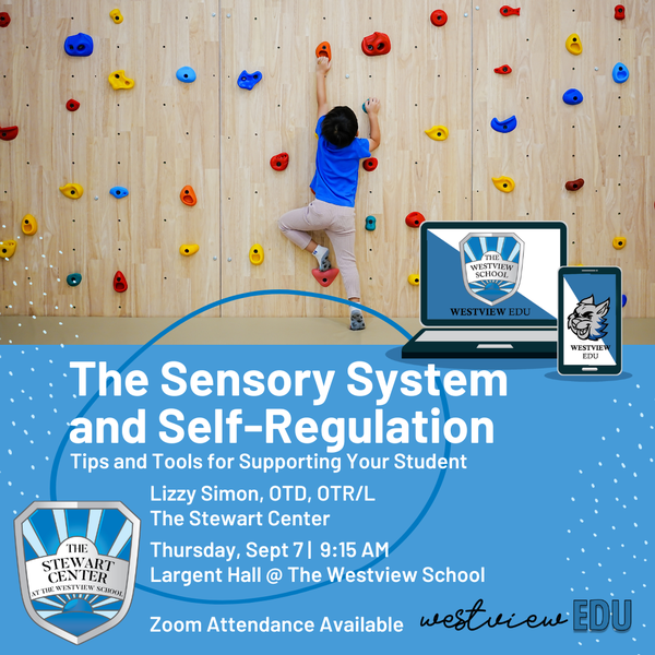 Westview EDU | The Sensory System and Self-Regulation